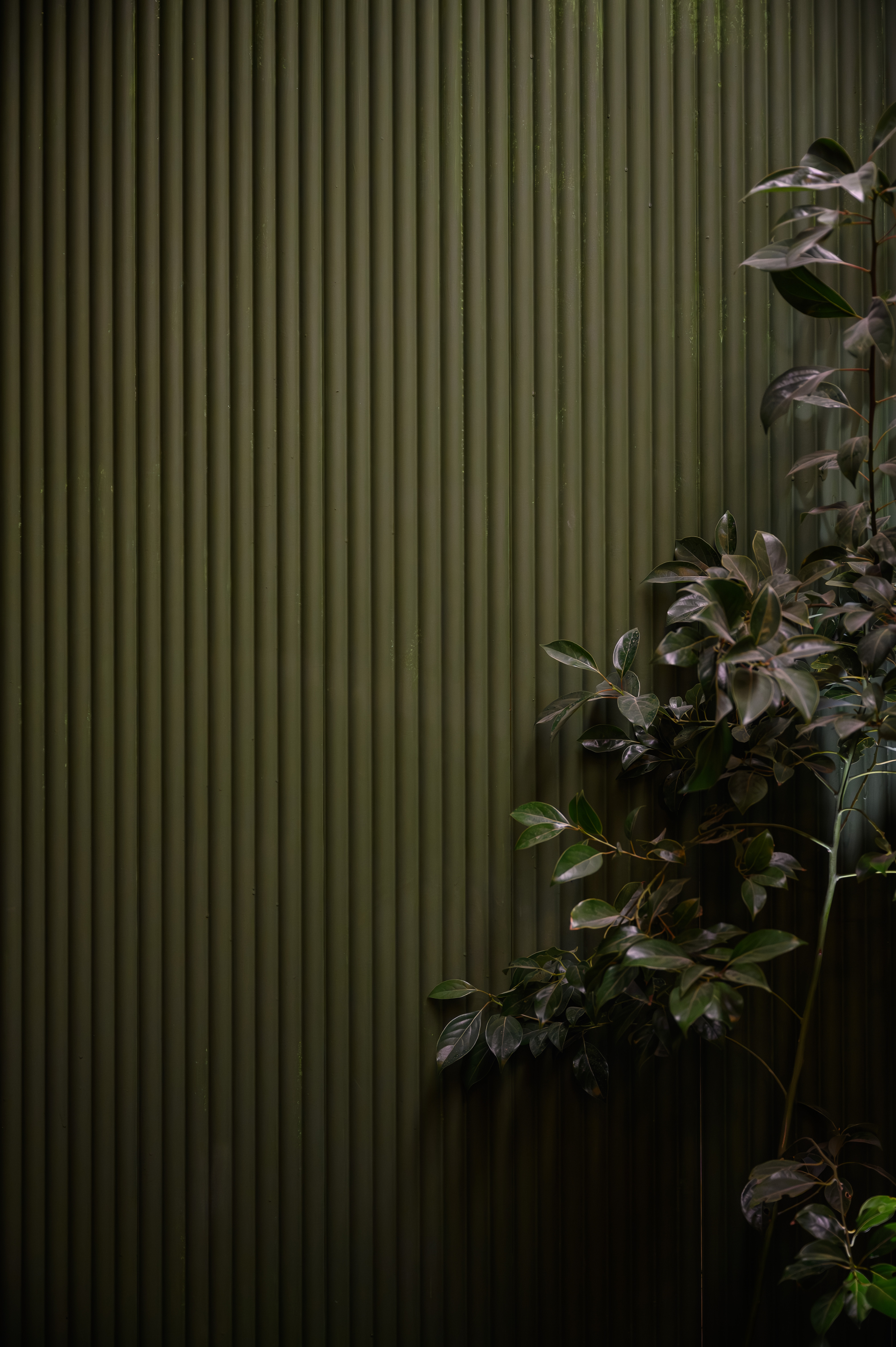 pared revestida con panel EPSILON pintado en verde