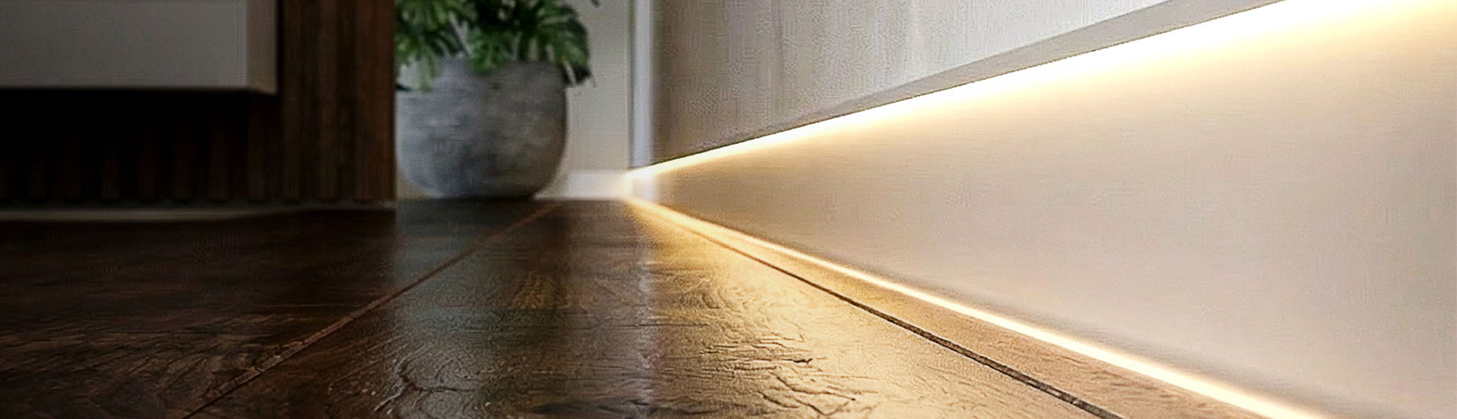 Nuevo Zócalo Shadow