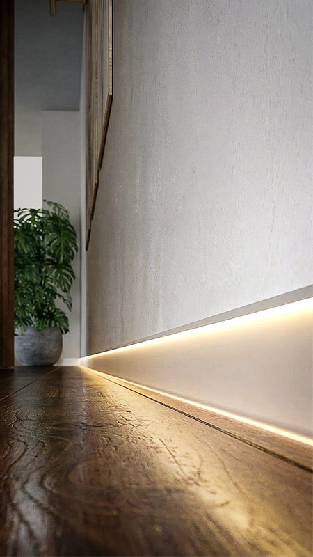 Nuevo Zócalo Shadow